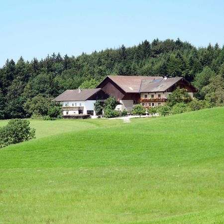 Apartment Bauernhof Vorderroid - Mon400 Oberhofen am Irrsee Dış mekan fotoğraf